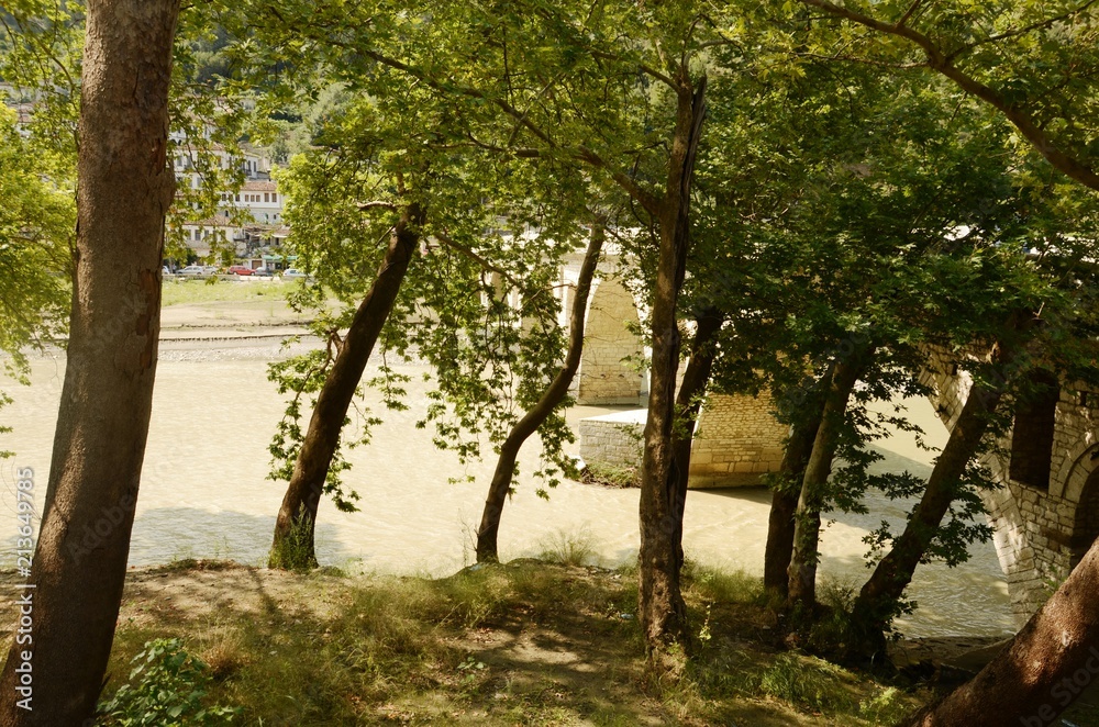 Berat : Pont Goriza et berges de la rivière Osumi (Albanie)
Berat : Pont Goriza et berges de la rivière Osumi (Albanie)