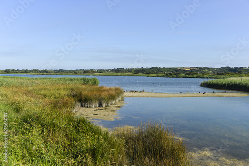 Marais de Curnic, Guissény, 29, Zone natura 2000, Finistère, Bretagne