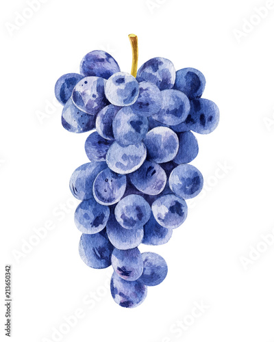 Bunch of black grapes