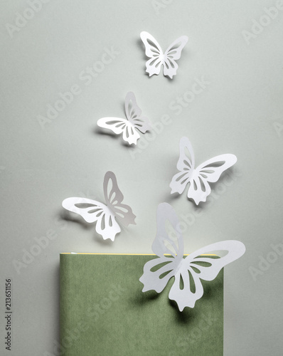 Paper butterflies on notebook photo