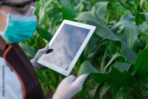 Biologist in white coat holding tablet in front of examining plants for disease with apron and gloves. Plant protection concept