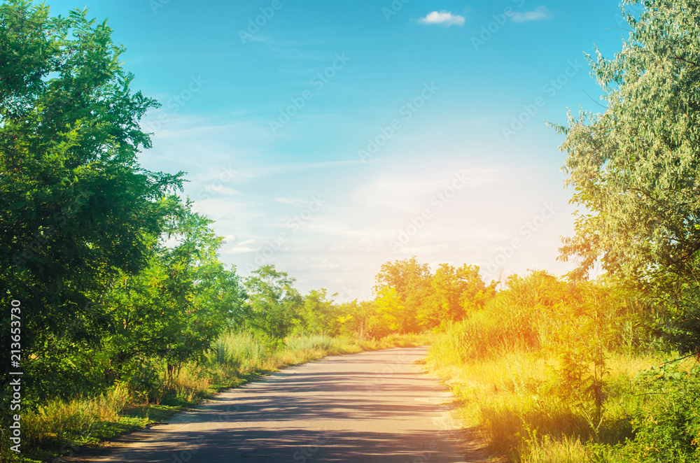 Naklejka premium a country road with green trees and the blue sky near the forest on a bright summer day. countryside. nature. beautiful landscape for design
