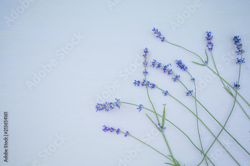 Fototapeta Naklejka Na Ścianę i Meble -  Fresh lavender flowers on blue wood table background free space