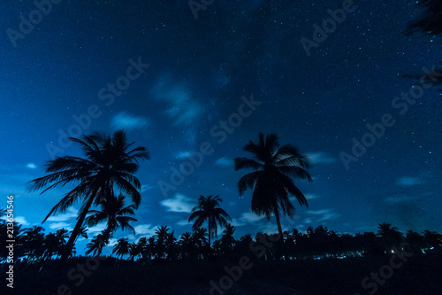 Night Sky in the tropics