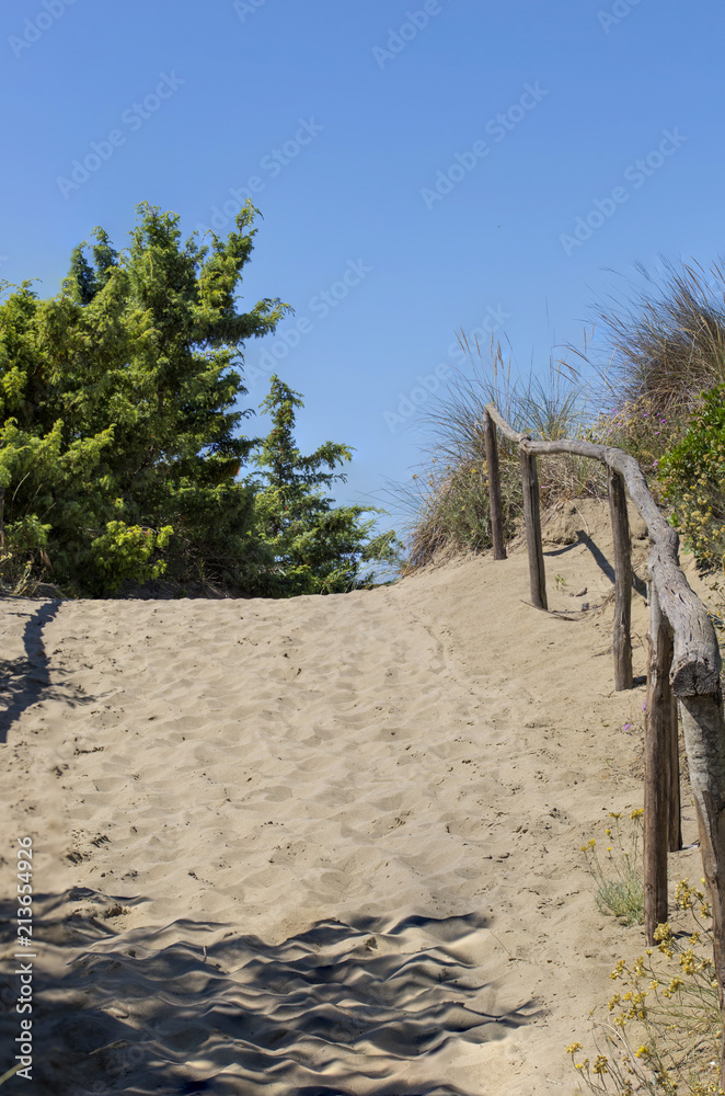mage of a path leading to the sea, with sand and a fence