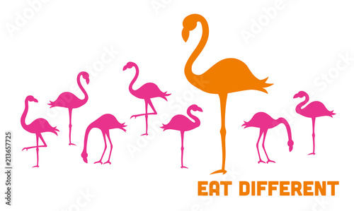 flamingo silhouetten