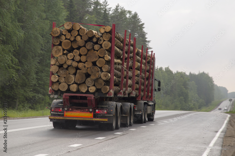 Logging truck on the highway.