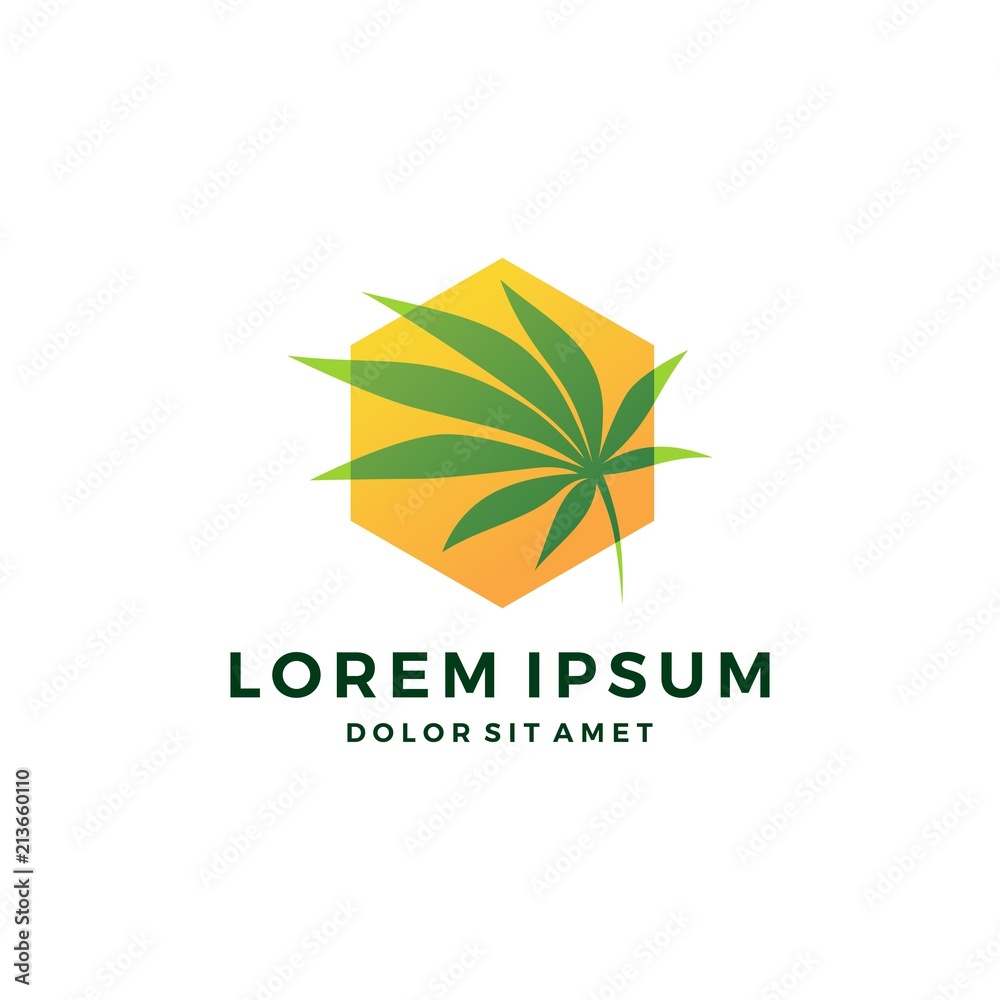 cannabis box cube hexagonal hemp marijuana hive leaf logo cannabis box cube hexagonal hemp marijuana hive leaf logo