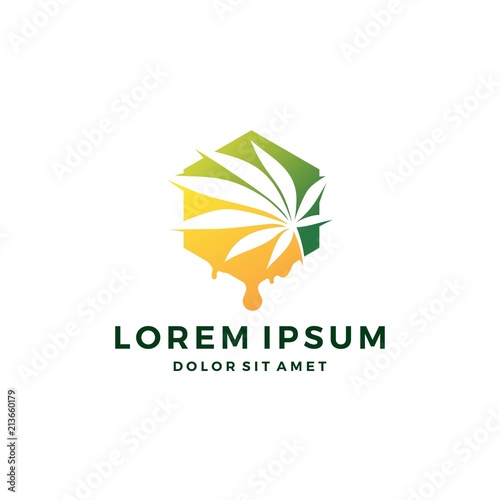 cannabis oil CBD cannabidiol hemp marijuana leaf logo vector