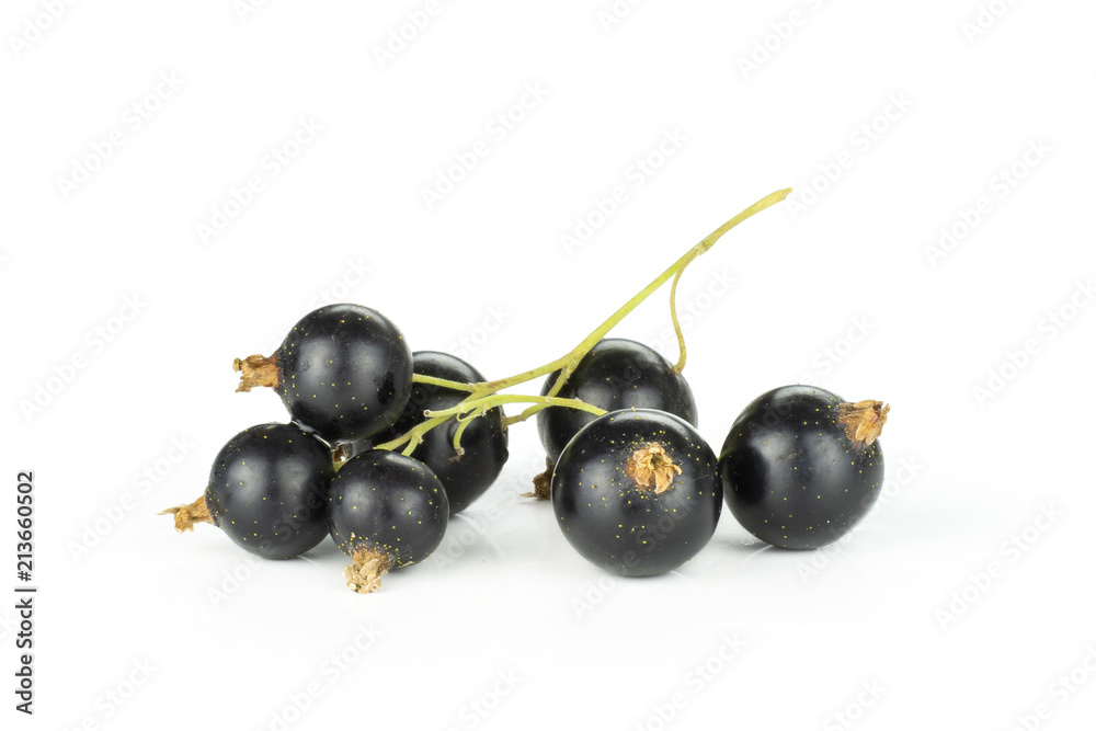 Fresh Raw Black Currant berry isolated on white Fresh Raw Black Currant berry isolated on white