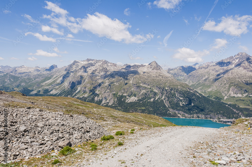 Naklejka premium Silvaplana, Corvatsch, Wanderweg, Silvaplanersee, Bergsee, Julierpass, Piz Julier, Piz Albana, Piz Nair, Corviglia, Alpen, Oberengadin, Graubünden, Sommer, Schweiz