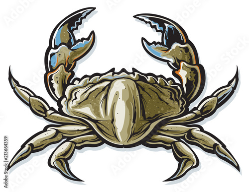 Blue crab