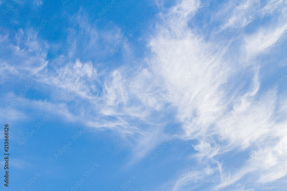 White feathery clouds on the blue sky in summer White feathery clouds on the blue sky in summer