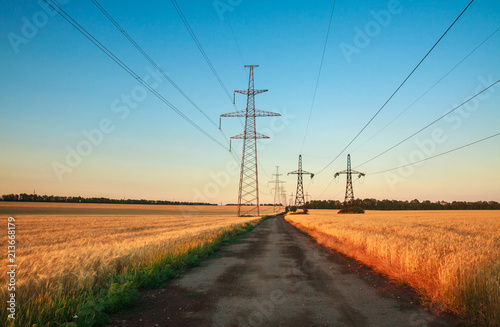 Pillars of line power electricity in wheat fields on blue sky