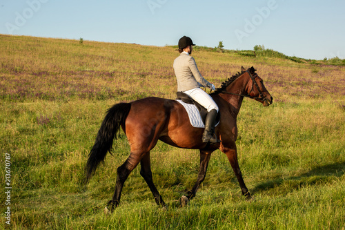 Young woman rider with her horse in evening sunset light. Outdoor photography in lifestyle mood © nazarovsergey