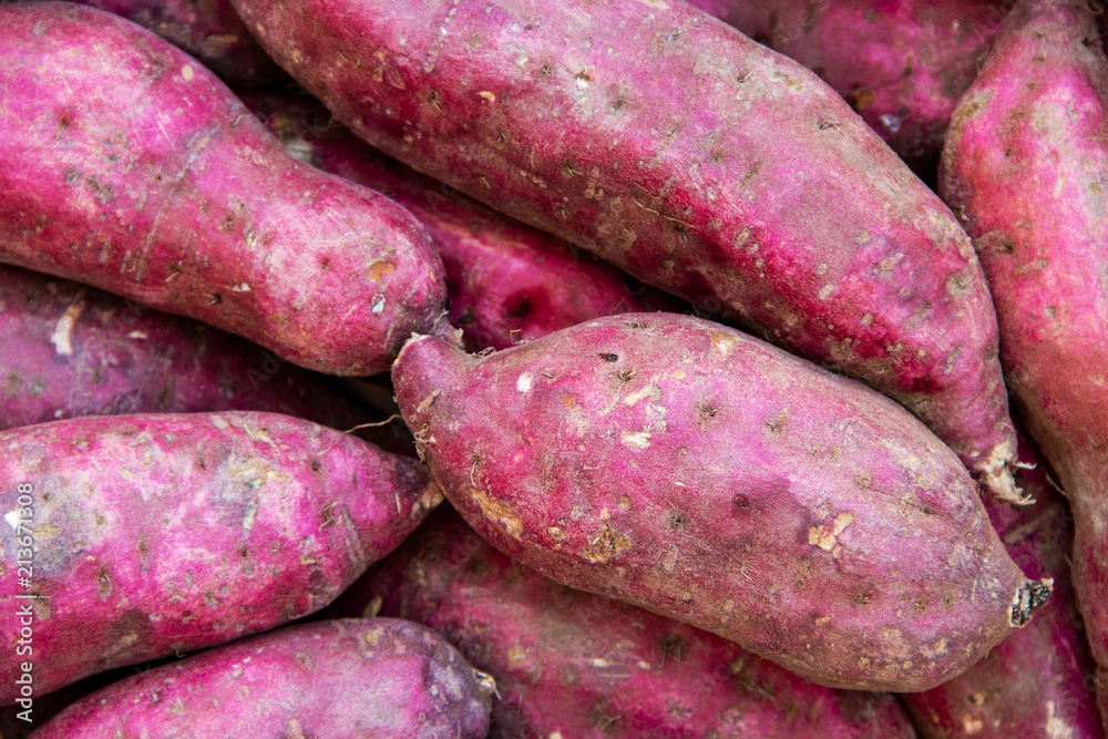 Texture Background of pile Japanese Sweet Potato or Naruto Kintoki. Texture Background of pile Japanese Sweet Potato or Naruto Kintoki.