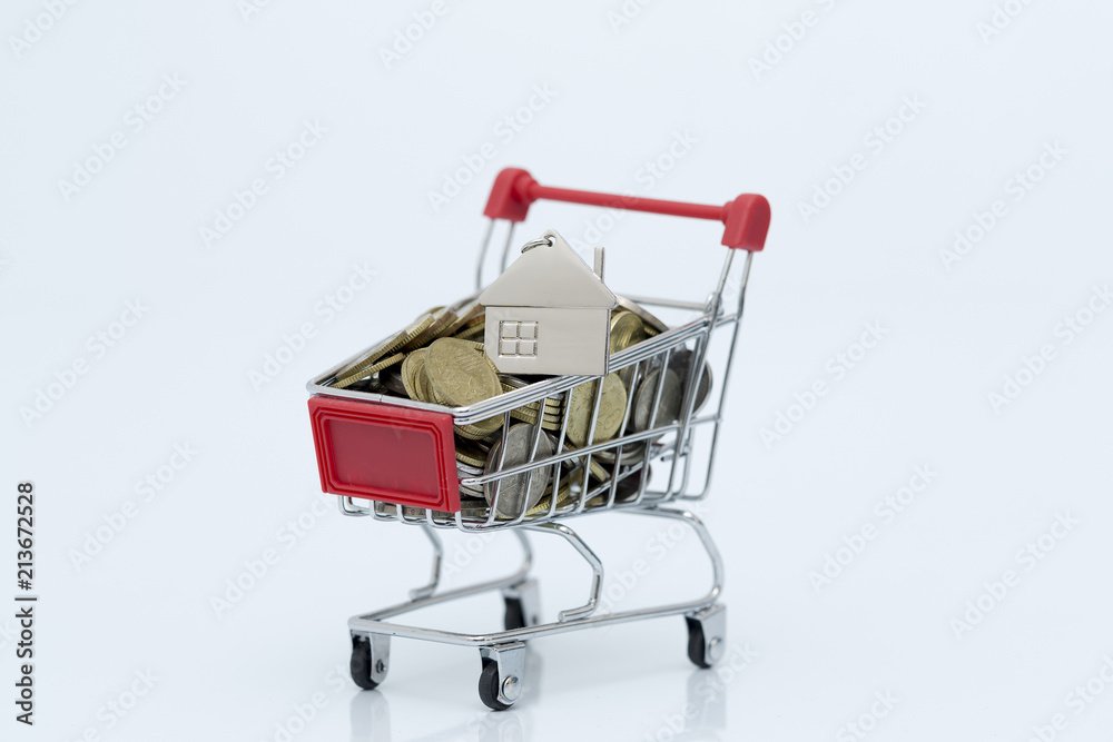 key chain shape of the house is above the coin in the trolley, the concept of home buying and selling.