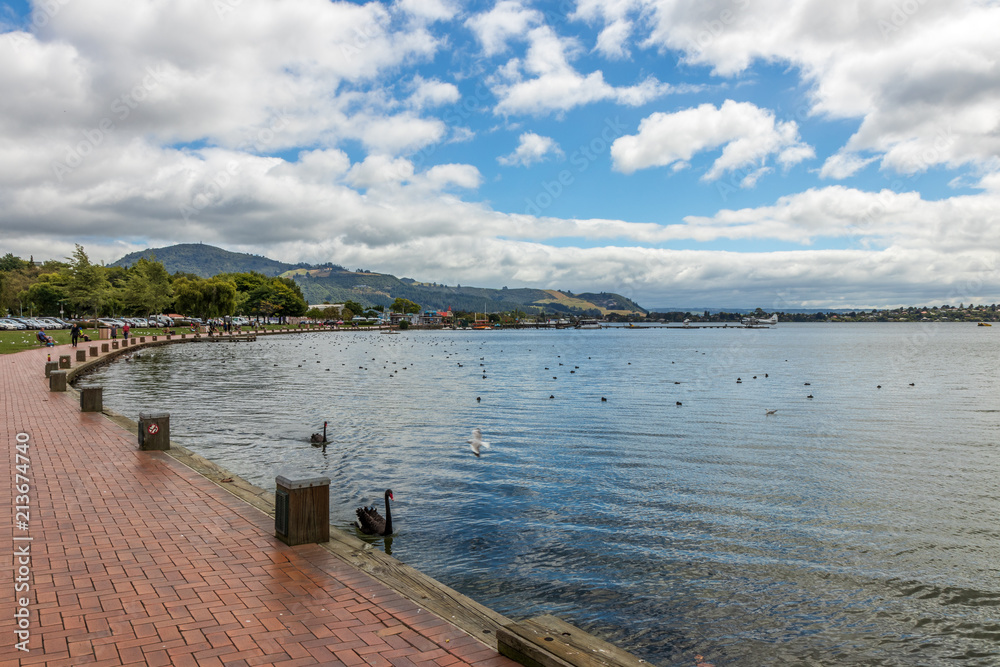 Lake shore in a city. Pavement, birds, water, sky, clouds, pier, plane, nature, landscape.