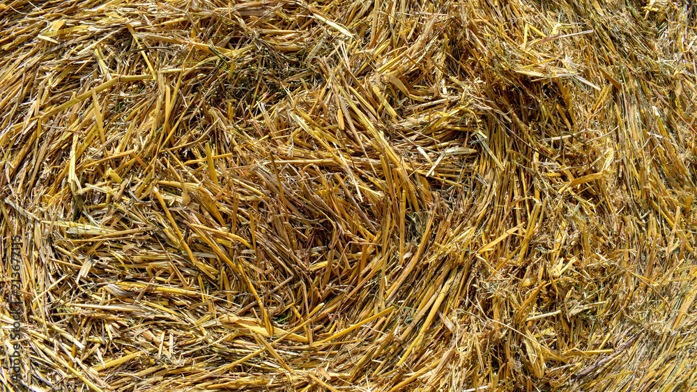 hay texture pattern full frame background hay texture pattern full frame background