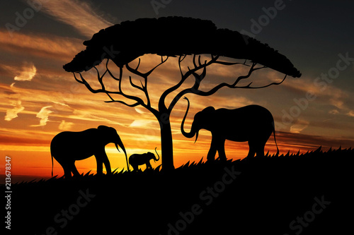 Canvas Print Beautiful Sunset Nature & Elephants | Tree