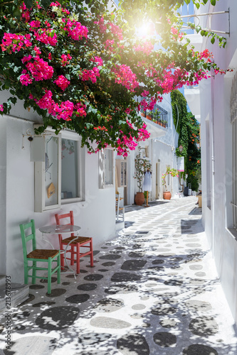Gasse mit bunten Bougainvillea Blumen  wei  en H  usern und farbigen St  hlen in Parikia  Paros  Kykladen  Griechenland