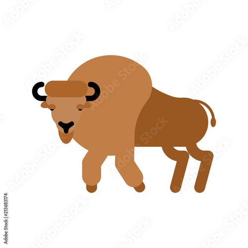 Bison isolated. Aurochs Zubr. Wild Bull. Buffalo Vector illustration