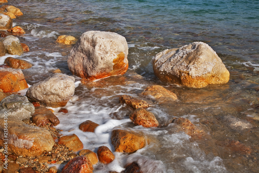 Dead sea coast in Ein Gedi. Israel