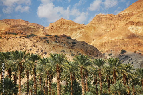 Mountain near Ein Gedi. Israel