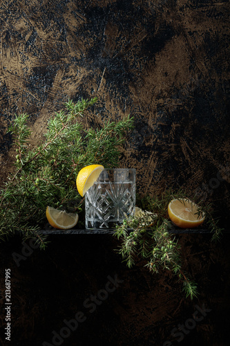 Gin , tonic with slices of lemon and a sprig of juniper . photo