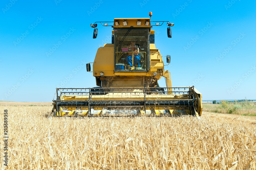 Fototapeta premium Harvester performing mowing tasks in the field.