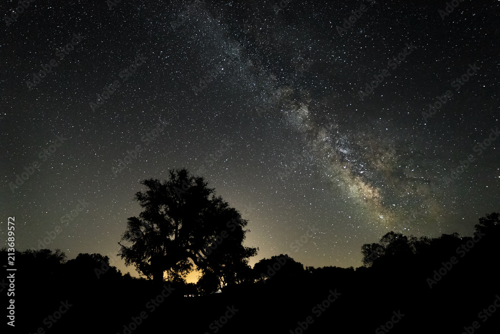 Milky Way over the forests near Santibañez el Bajo. Extremadura. Spain.