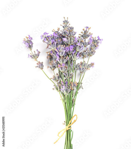 Fototapeta Naklejka Na Ścianę i Meble -  Beautiful blooming lavender flowers on white background