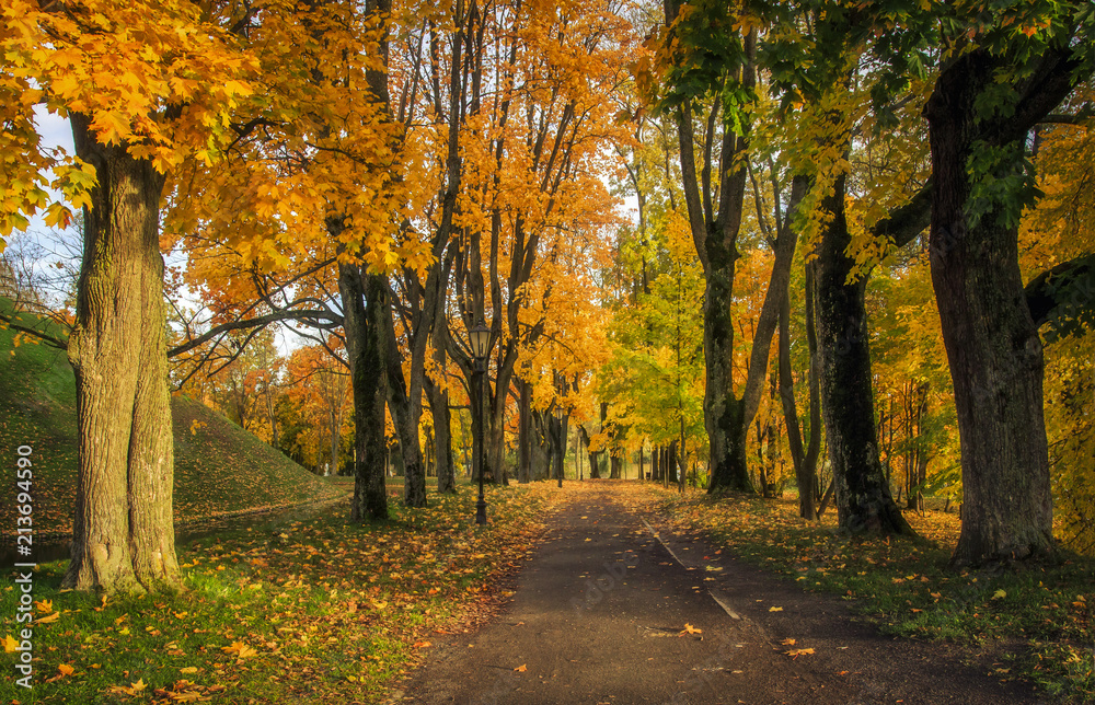 Fototapeta premium Landscape autumn in the park. A beautiful colorful autumn in an alley in a park with yellow and red leaves on trees and grass. Picturesque nature of October. Scenic fall.