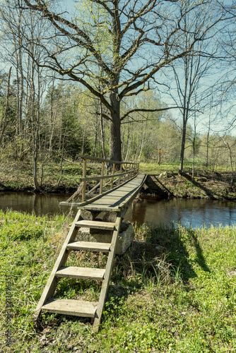 wooden footpath in the bog - vertical  mobile device ready image