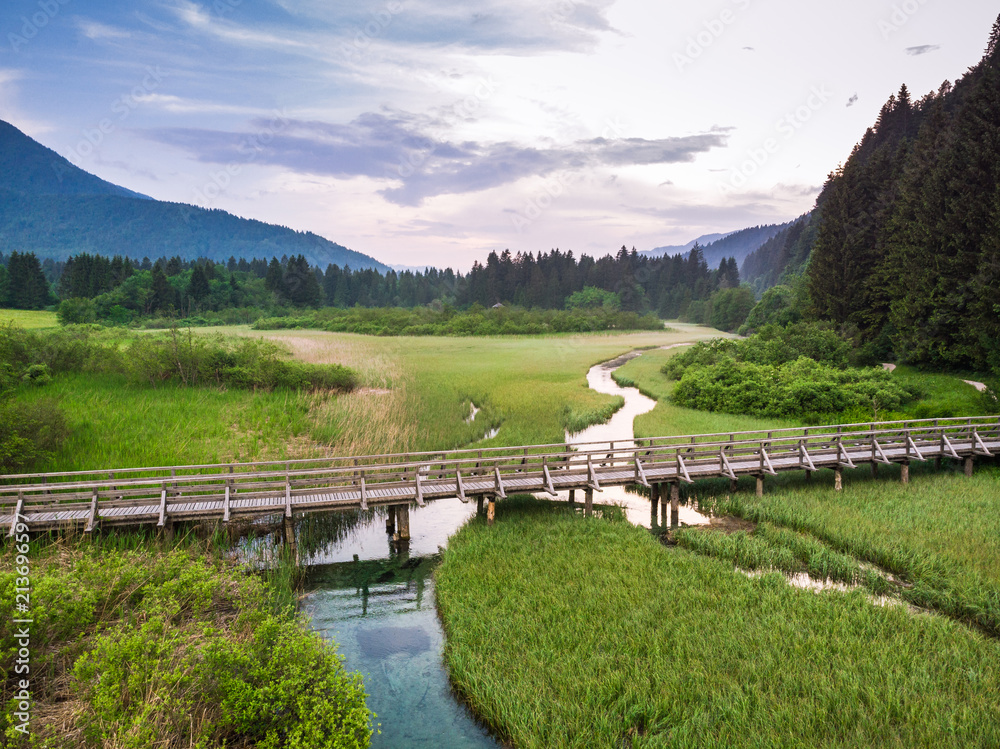 Fototapeta premium Wooden footpath or bridge over natural water reserve