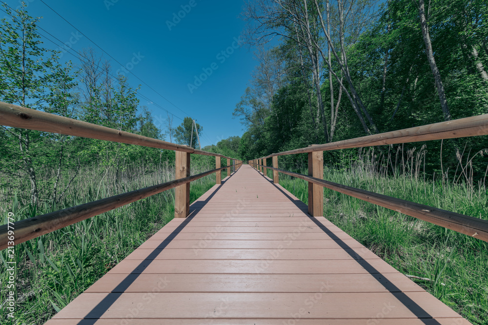 Fototapeta premium wooden footpath boardwalk in the bog swamp area