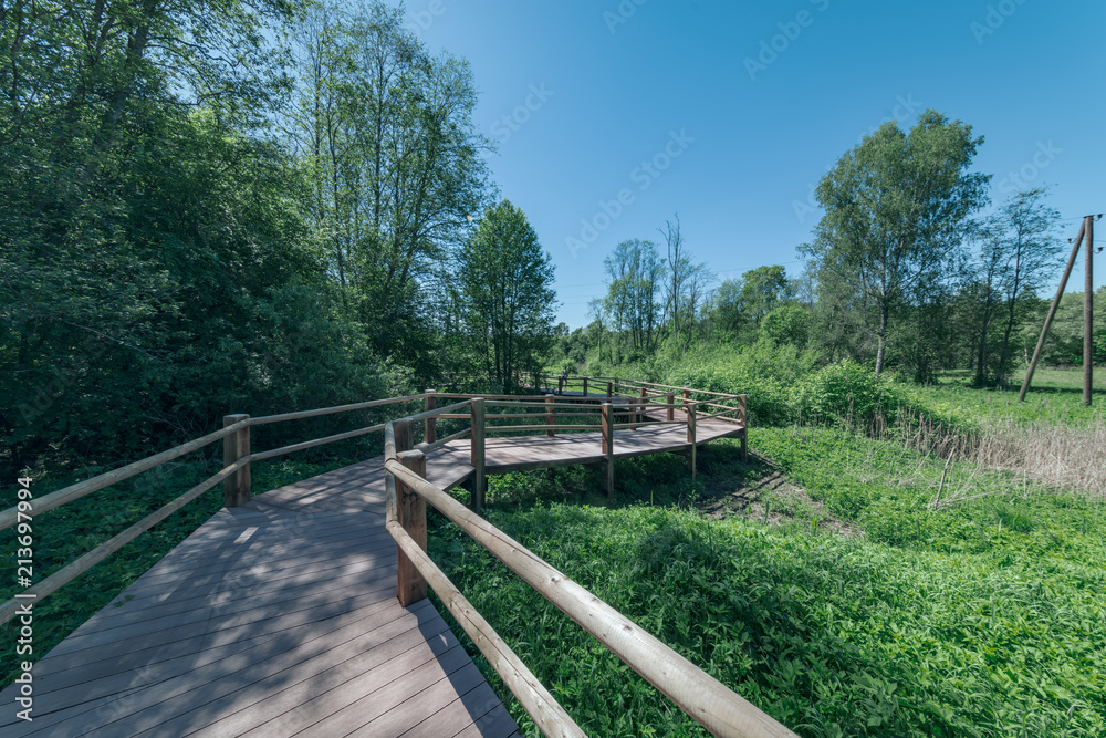 wooden footpath boardwalk in the bog swamp area