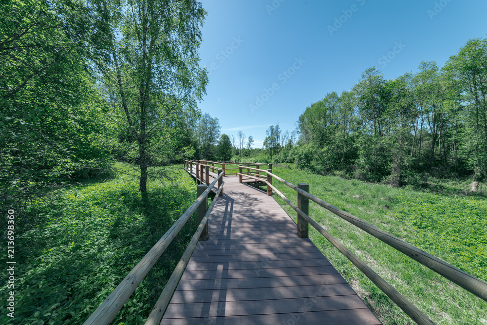 wooden footpath boardwalk in the bog swamp area