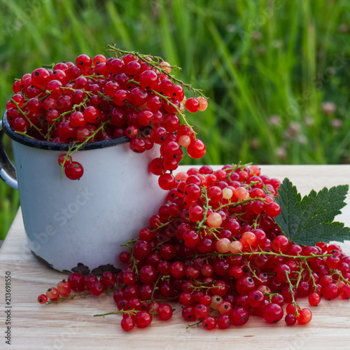 Still-life photo with fresh currant berries on wooden plank for promo photo