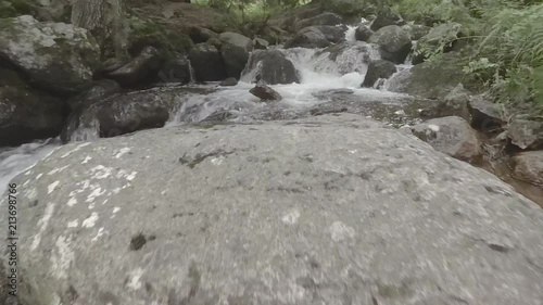 Slow motion stream in forrest.Rocks at The Moraines or Stone river. Natural phenomenon in Vitosha Mountains, Bulgaria. photo