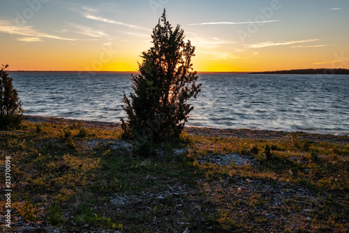 dramatic sunrise over the baltic sea with rocky beach and trees on the shore