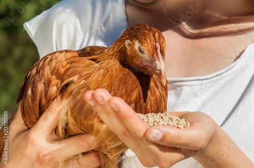  A woman is feeding a chicken