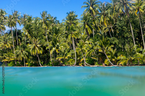 A view of the tropical coast with palms through the blurred snorkeling goggles. © milkovasa