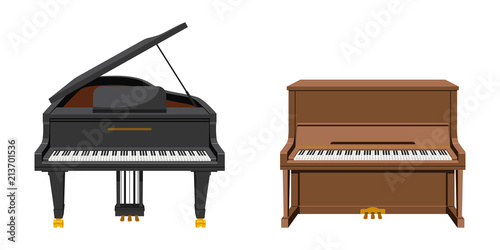 Vector illustration set of string instruments playing by striking the strings photo