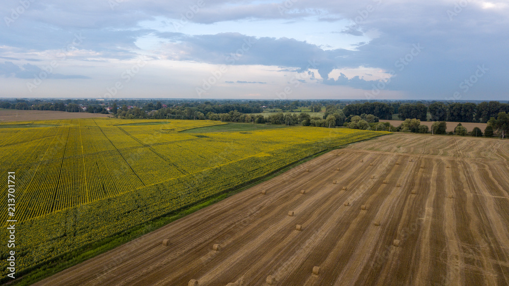 Aerial view ,Wheat field with straw bales after harvest. Sunflower crop. Small country side town landscape