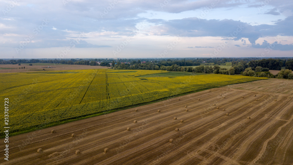 Aerial view ,Wheat field with straw bales after harvest. Sunflower crop. Small country side town landscape