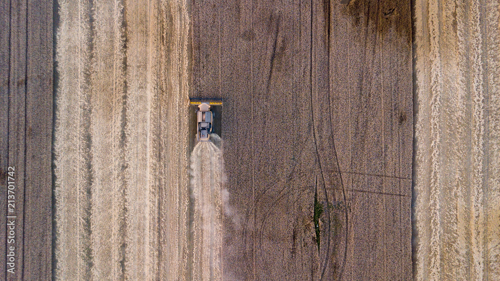 Aerial view on the combine working on the large wheat field Aerial view on the combine working on the large wheat field