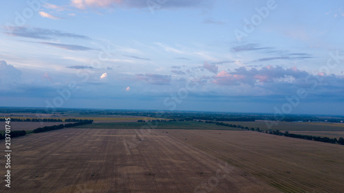 Aerial drone view of wineyards fields from the top at the sunset. Drone Aerial View Concept. © savantermedia
