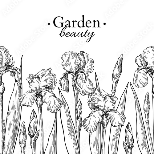 Iris flower and leaves border drawing. Vector hand drawn engraved floral seamless pattern