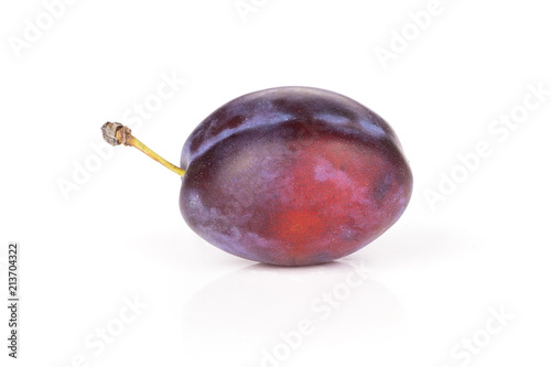 One whole fresh violet-blue plum vibrant moyer variety isolated on white photo